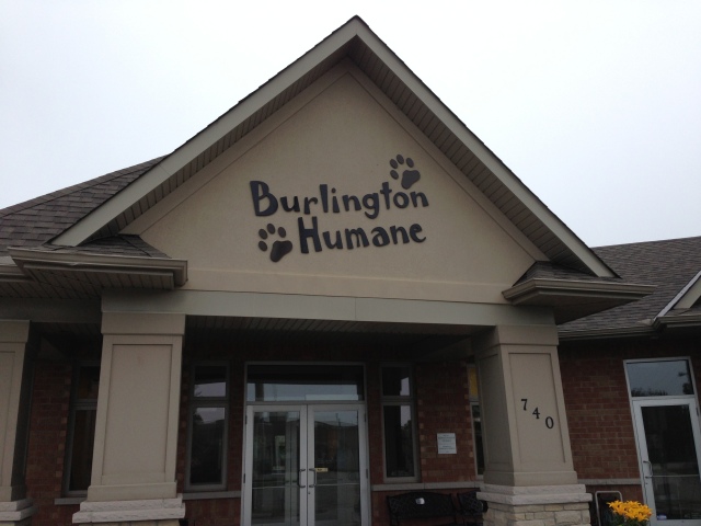 Reuse Centres in Halton Region: Burlington Humane Society | HaltonRecycles